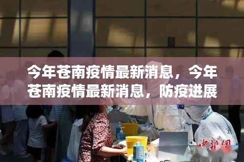 今年苍南疫情最新消息,防疫进展与民众生活动态更新