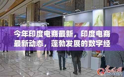 印度电商最新动态,数字经济蓬勃发展及趋势展望