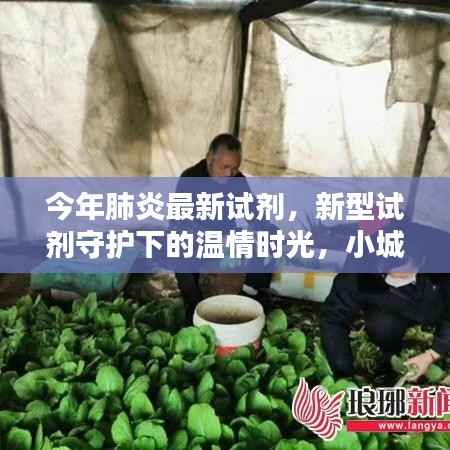 小城肺炎防治日常,新型试剂守护下的温情时光