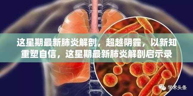 超越阴霾,最新肺炎解剖启示录,重塑信心与新知的探索