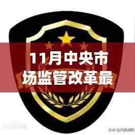 深度解析与案例探究,11月中央市场监管改革最新动态重磅更新