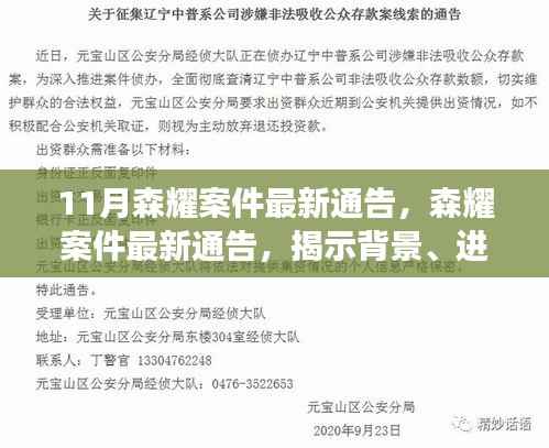 森耀案件最新进展及影响揭秘,背景通告全解析