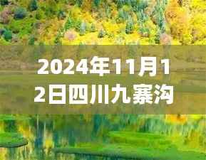 2024年11月12日四川九寨沟最新情况,自然恢复与旅游新篇章开启