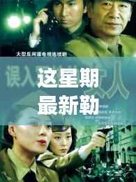 在线留言 第252页