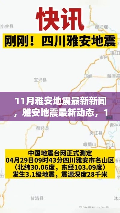 雅安地震最新动态，救援进展报告及地震活动更新（11月版）
