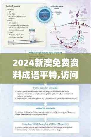 2024新澳免费资料成语平特,访问安全方案解析_ELI238.32元丹