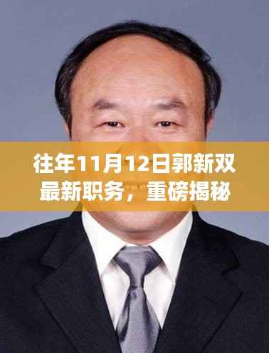 揭秘郭新双新职务,职场之路再创高峰历程揭秘!