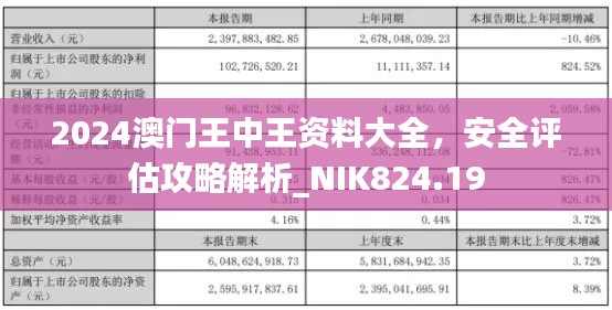 2024澳门王中王资料大全,安全评估攻略解析_NIK824.19