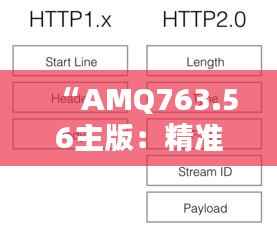 “AMQ763.56主版:精准一肖100解析,最新规则与定义详解”