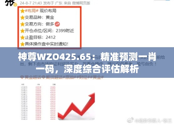 神尊WZO425.65:精准预测一肖一码,深度综合评估解析