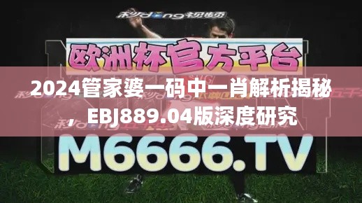 2024管家婆一码中一肖解析揭秘,EBJ889.04版深度研究