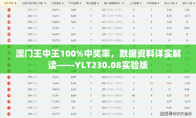 澳门王中王100%中奖率，数据资料详实解读——YLT230.08实验版