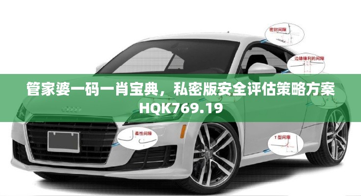 管家婆一码一肖宝典,私密版安全评估策略方案HQK769.19