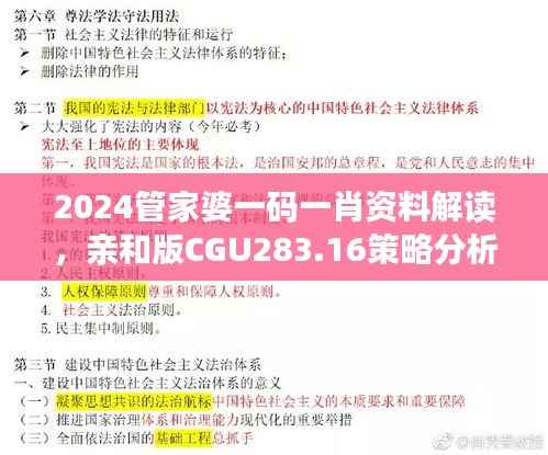 2024管家婆一码一肖资料解读,亲和版CGU283.16策略分析