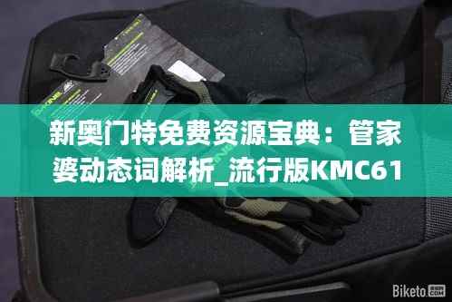 新奥门特免费资源宝典:管家婆动态词解析_流行版KMC617.02