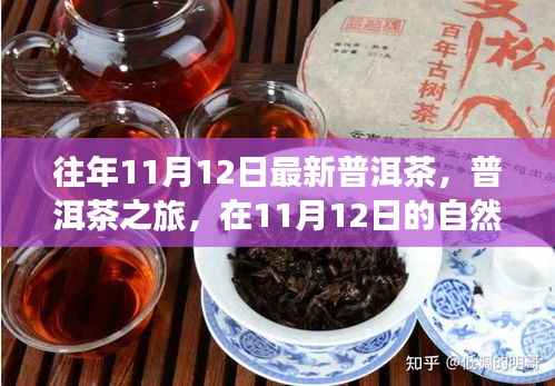 普洱茶之旅,在11月12日的自然怀抱中品味静心之茶,探寻最新普洱茶的魅力