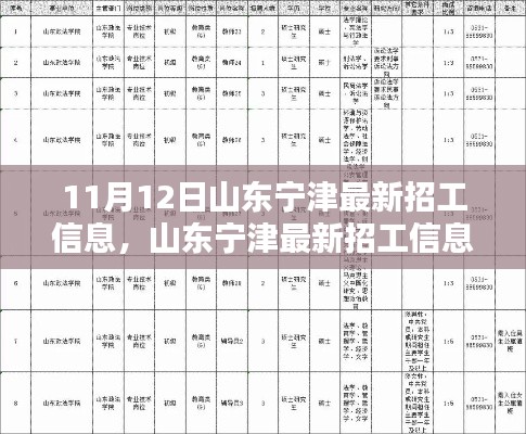 山东宁津最新招工信息，就业机遇与挑战揭秘
