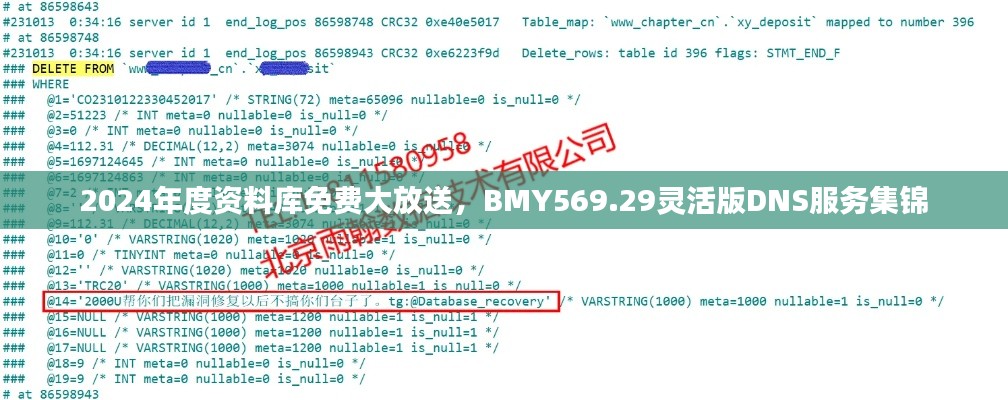 2024年度资料库免费大放送,BMY569.29灵活版DNS服务集锦