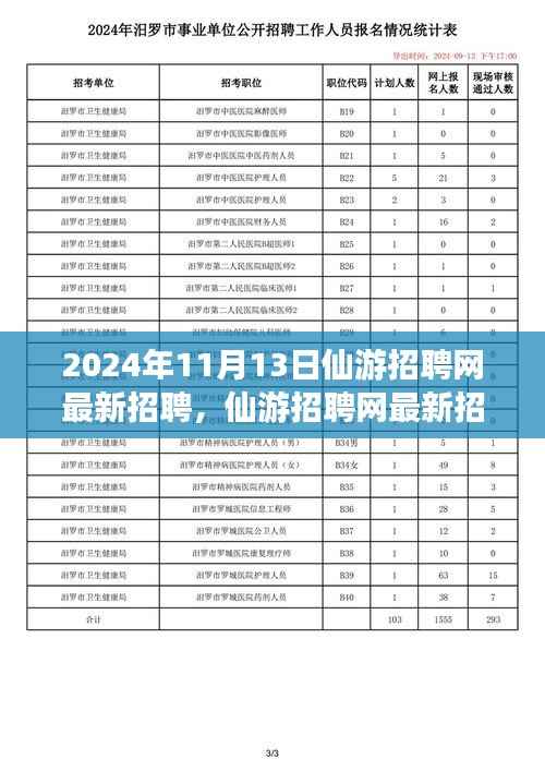 2024年11月13日仙游招聘网最新动态，聚焦人才市场热点