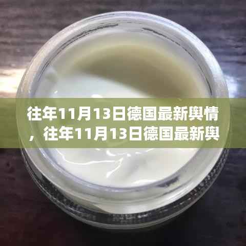 往年11月13日德国舆情深度解析,小红书带你洞悉德国舆论风向的瞬息万变