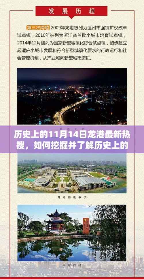 11月14日龙港热搜揭秘,历史挖掘与了解指南——初学者到进阶用户的必备参考