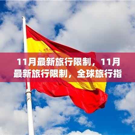 全球旅行指南,最新旅行限制与案例分析(十一月版)