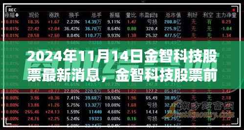 金智科技最新动态及前景展望，深度解读2024年11月14日股市消息