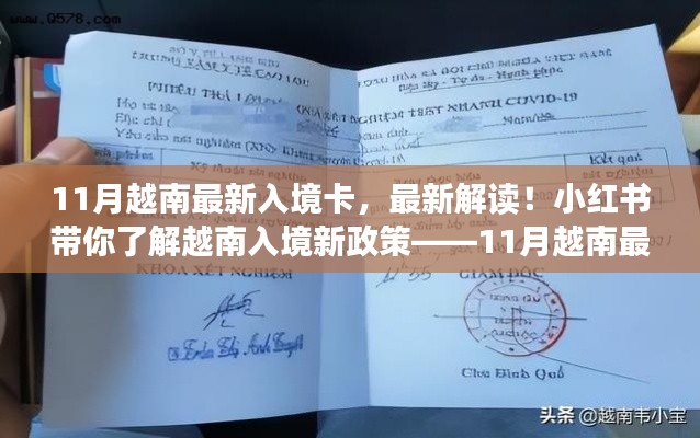 小红书解读,最新越南入境卡详解及新政策解析