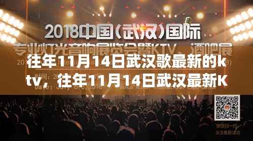 往年11月14日武汉KTV深度体验与评测,最新场所及感受分享