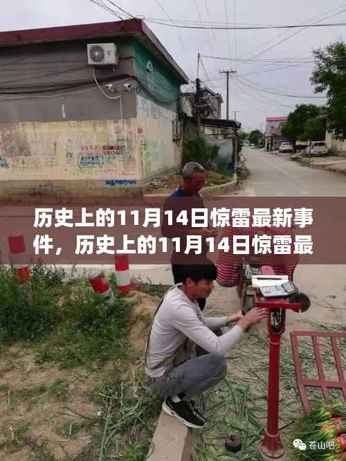 政策法规 第203页