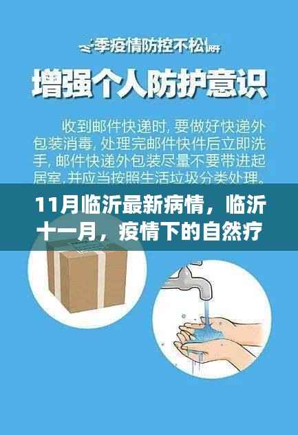 临沂十一月疫情下的自然疗愈之旅,寻找内心的宁静港湾