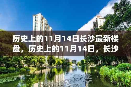历史上的11月14日长沙楼盘崛起与发展概览