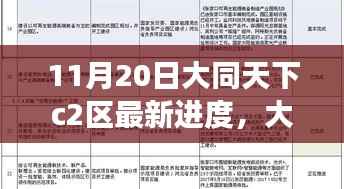 大同天下C2区建设最新进度报告(11月20日更新),细节揭秘与进展解读