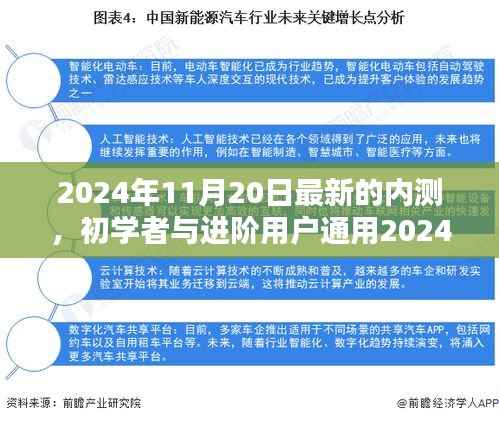 初学者与进阶用户通用,最新内测任务完成指南(2024年11月20日版)