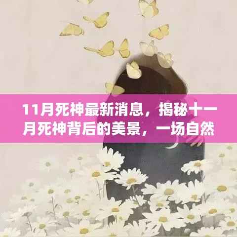 在线留言 第178页