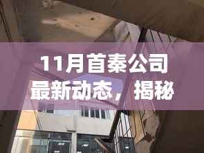 揭秘首秦公司十一月动态,背后故事与小巷特色小店独家报道