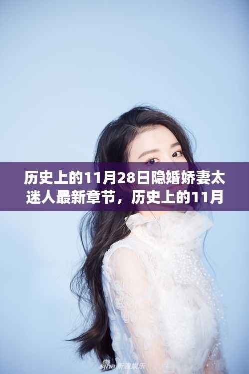 历史上的11月28日,隐婚娇妻的神秘科技新宠惊艳亮相