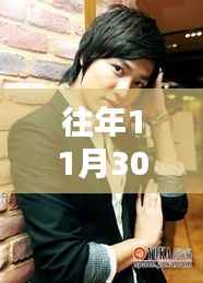 往年11月30日李民浩热门电视剧,深度评测与详细介绍