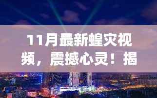 震撼心灵!揭秘十一月最新蝗灾现场实录视频