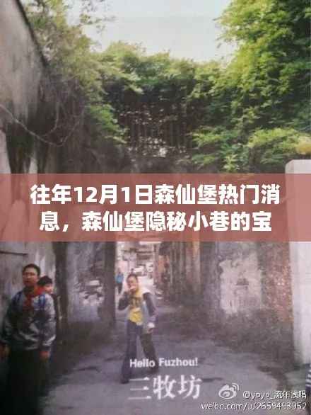 揭秘森仙堡隐秘小巷宝藏，十二月一日独家新闻与特色小店的非凡魅力