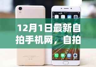自拍手机网历程回顾,从诞生到繁荣的繁荣之路(12月1日最新自拍手机网)