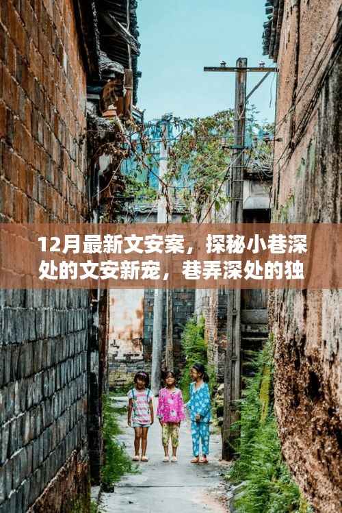 联系我们 第171页