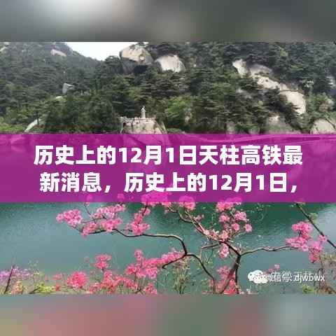 政策法规 第178页