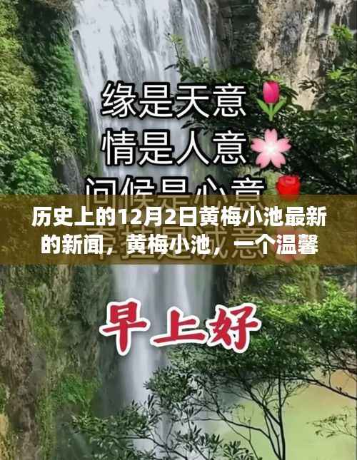 黄梅小池,温馨日常与爱的纽带——历史上的今天新闻回顾,12月2日的爱与陪伴故事