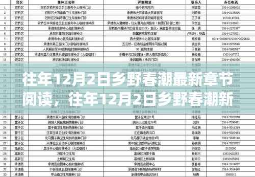 探寻乡村浪漫与生机,往年12月2日乡野春潮最新章节阅读分享
