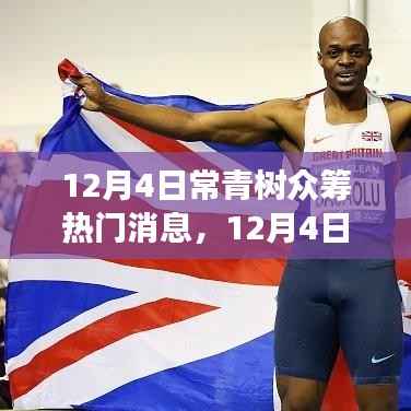 12月4日常青树众筹最新动态与成功案例探索