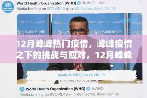 峰峰热门疫情下的挑战与应对,深度评测疫情产品