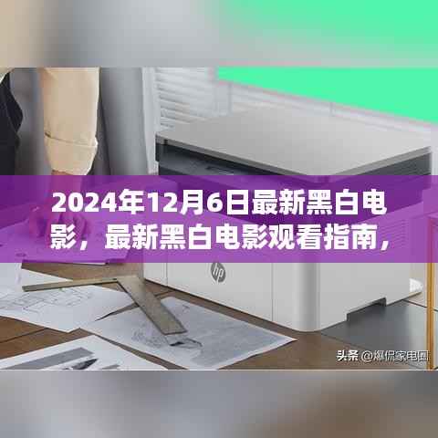 2024年黑白电影盛宴,观看指南与独特魅力体验