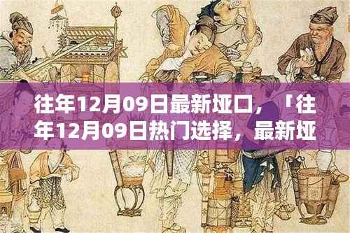 往年12月09日最新垭口产品评测与介绍,热门选择详解