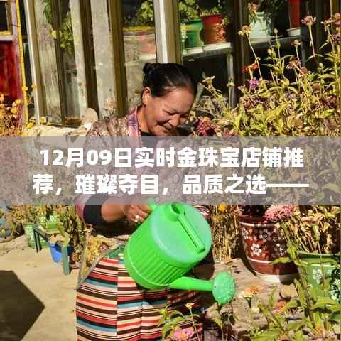12月09日金珠宝店铺实时推荐,璀璨品质之选